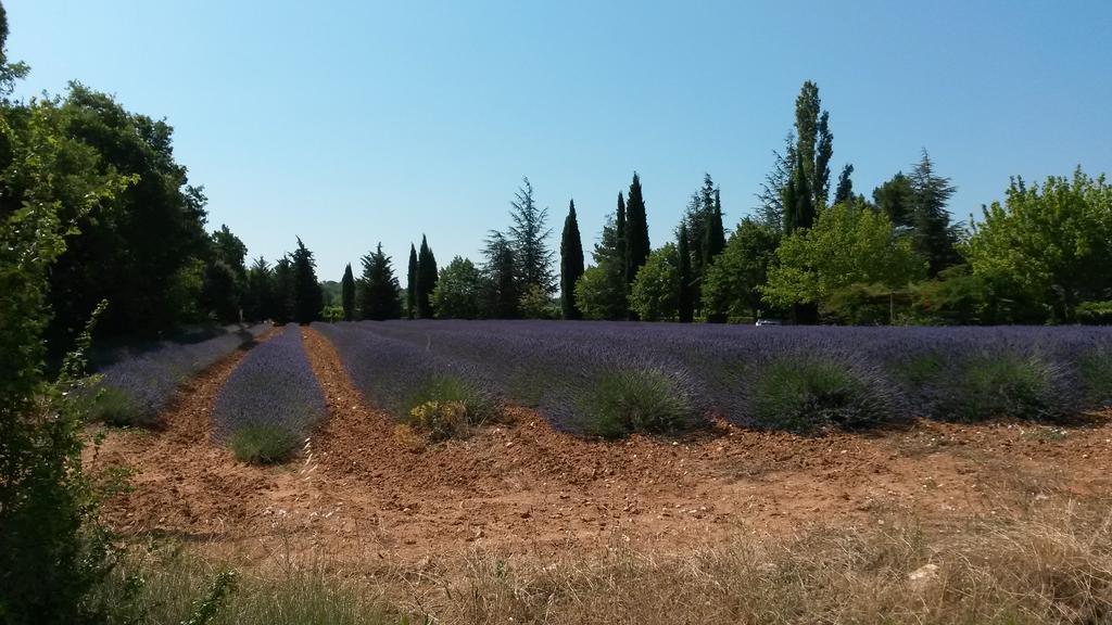 Residence Les Rossignols Roussillon  Exterior photo